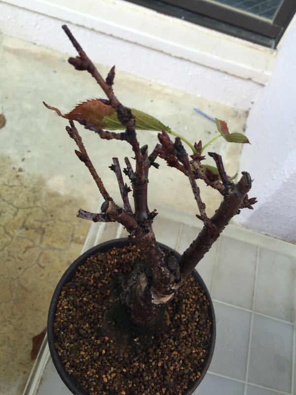rblog-20161028093252-01.jpg