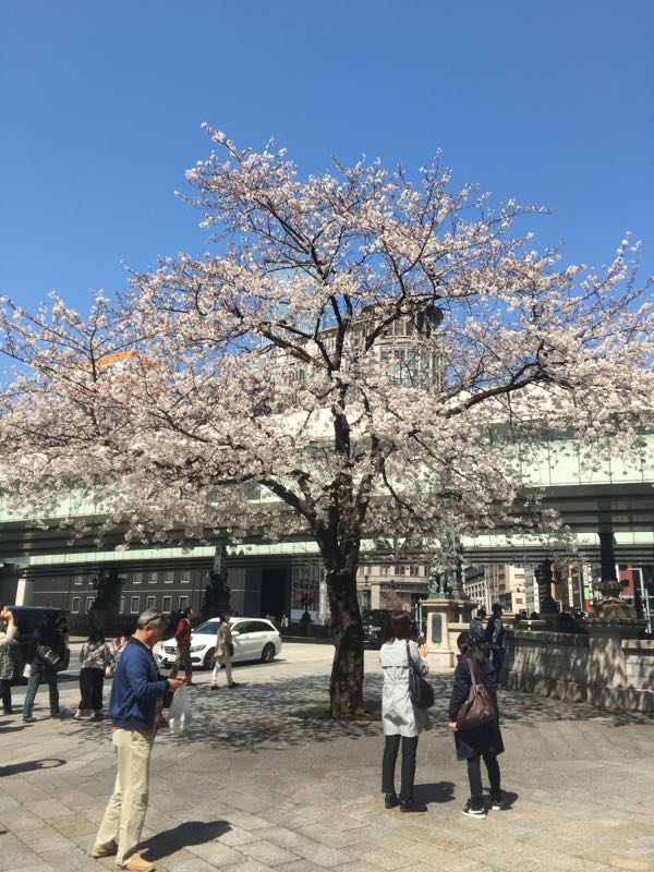 rblog-20180327035419-02.jpg