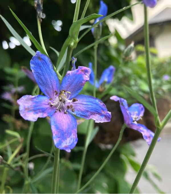 rblog-20180624180114-06.jpg