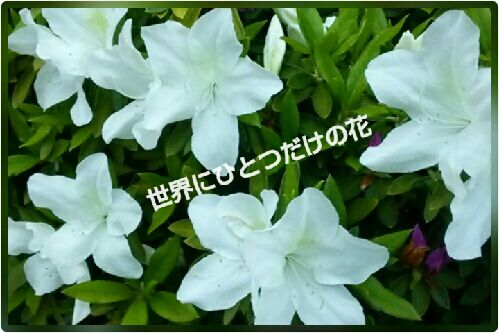 rblog-20160418224156-00.jpg