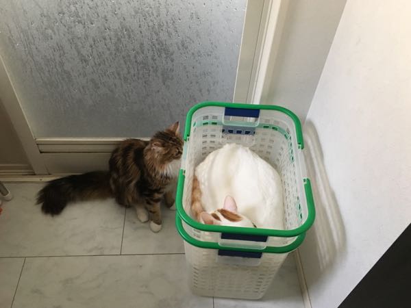rblog-20180812222203-06.jpg