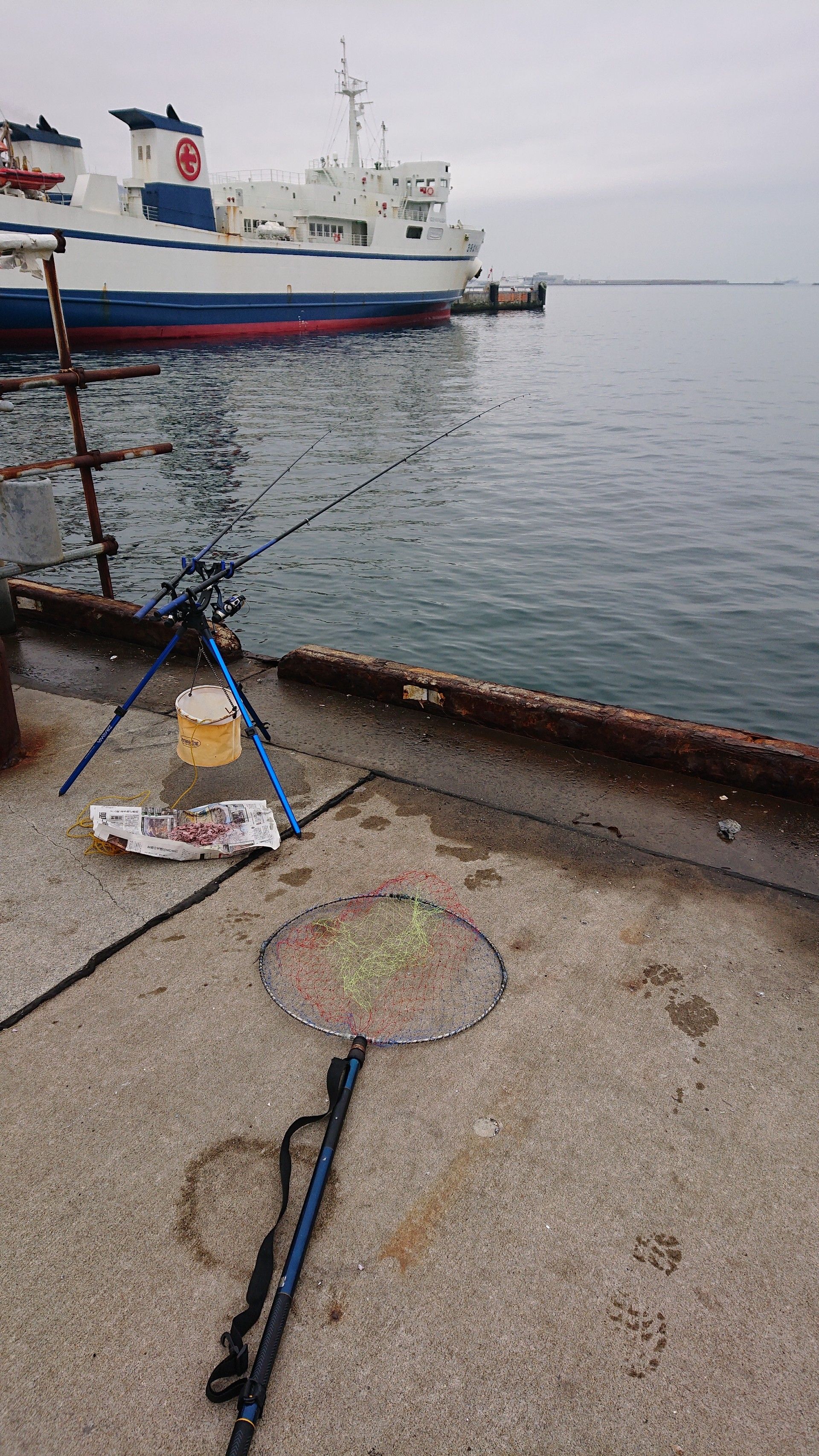 3 10 函館港 北埠頭 釣行 ｎの釣行記 楽天ブログ