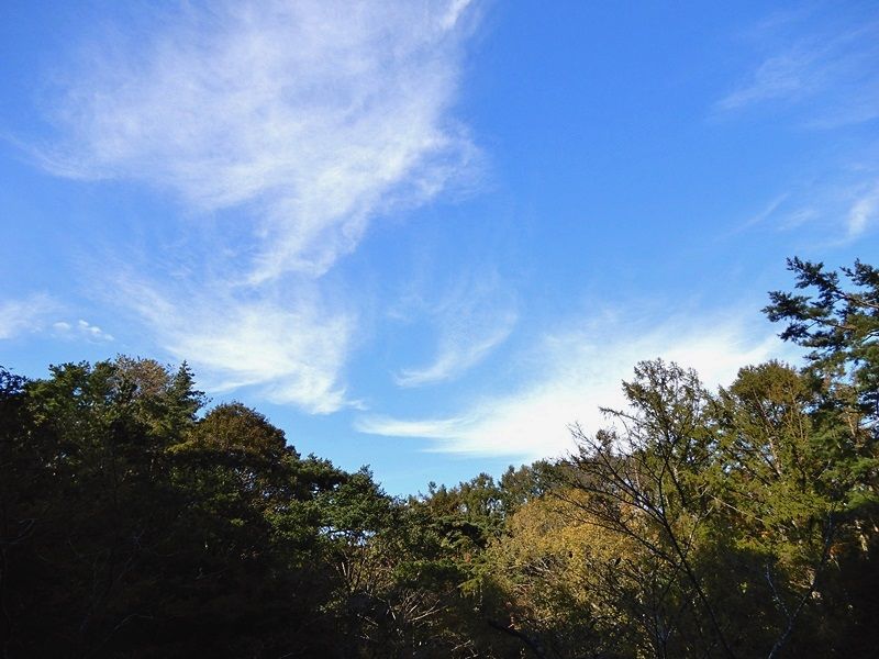 空3