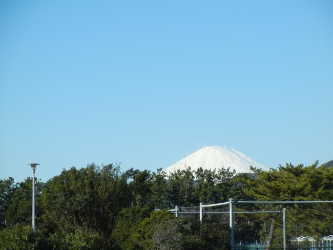 DSCN4908.JPG