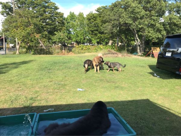 rblog-20180817084420-01.jpg