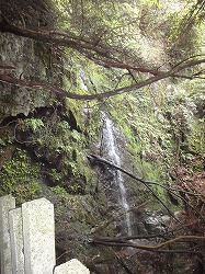 DSC06227.jpg