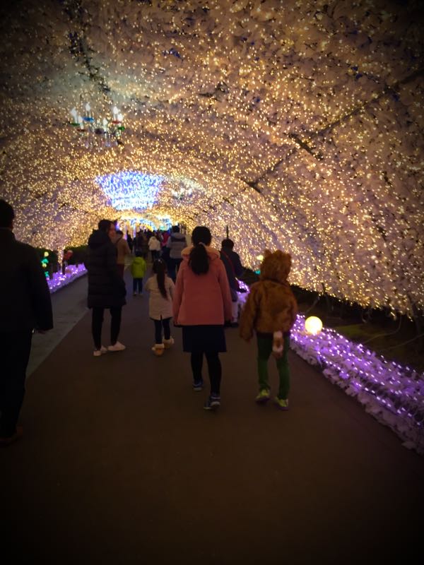 rblog-20180102154350-05.jpg