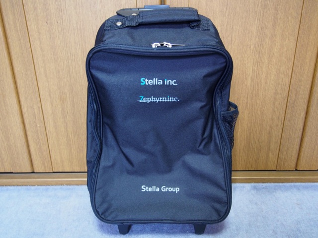 キャリーバック