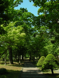 06-03moriaruki (2).JPG