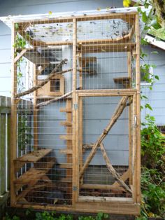 猫の遊び場２