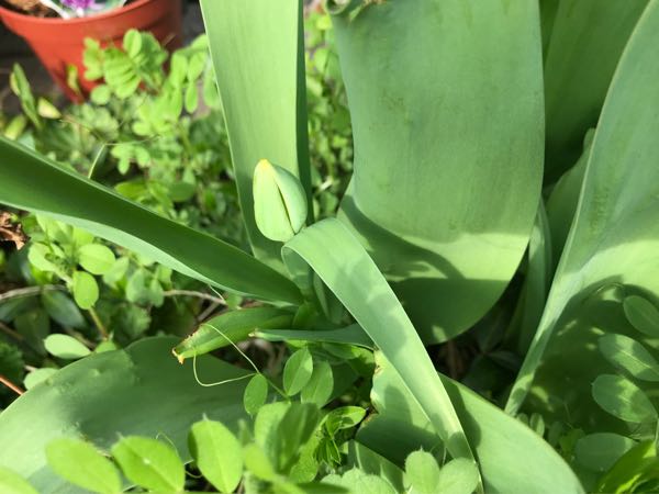 rblog-20180326193240-07.jpg