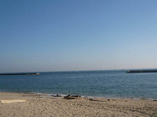 P1150142(1).JPG