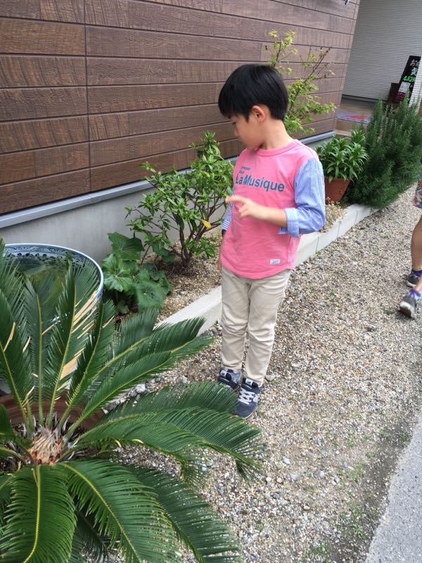 rblog-20160424231423-01.jpg