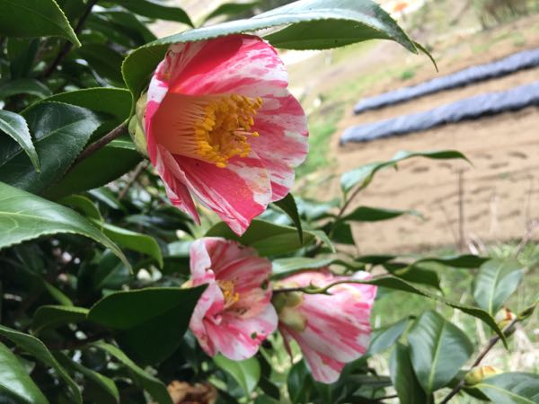 rblog-20170407091430-02.jpg