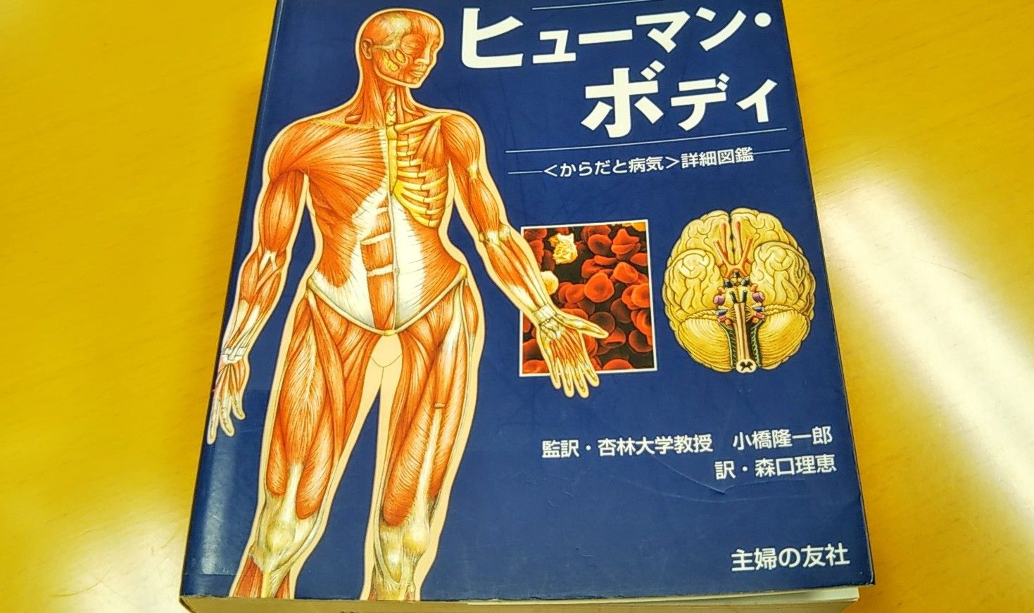 Ｒ君が最近読んだ本 『ヒューマン・ボディ』 | ゆうのお料理日記 農業