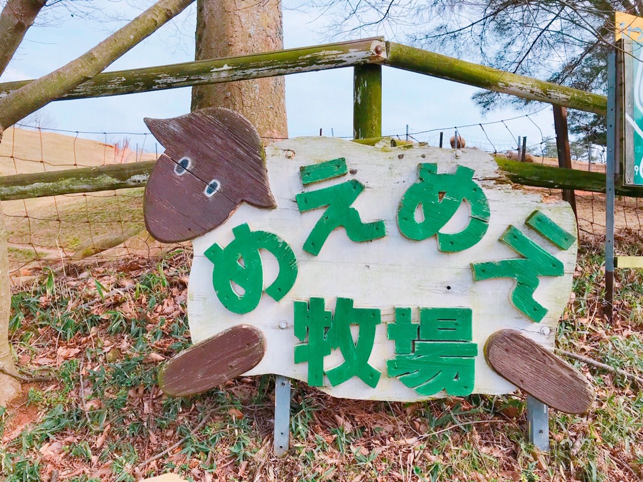 牧場 め えめ え ひつじの公園～山添村：めえめえ牧場