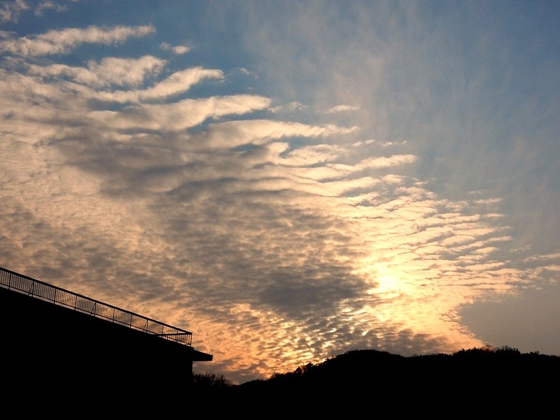 夕暮れ 2.JPG