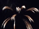 DSCN4447.jpg