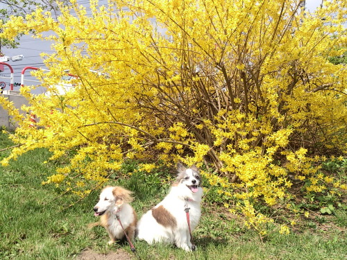 公園4.jpg