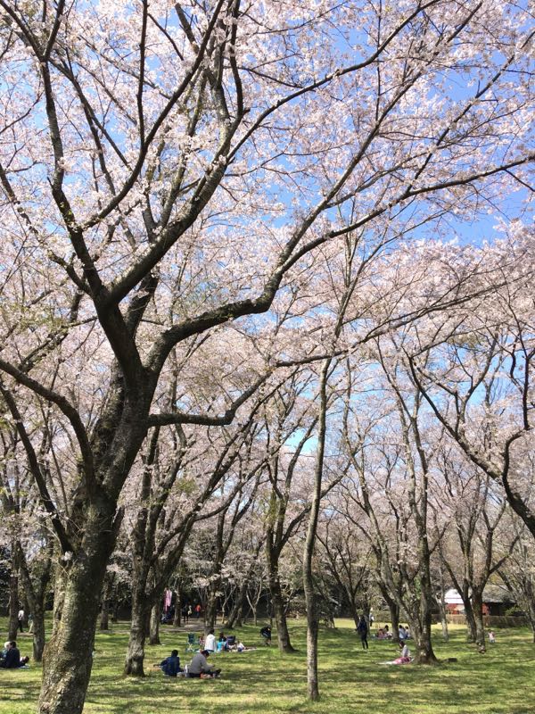 rblog-20180331160947-00.jpg