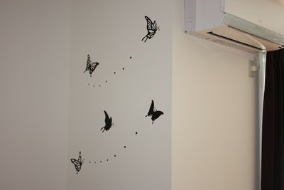 IMG_2584.jpg