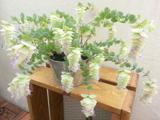 rblog-20140812145641-01.jpg