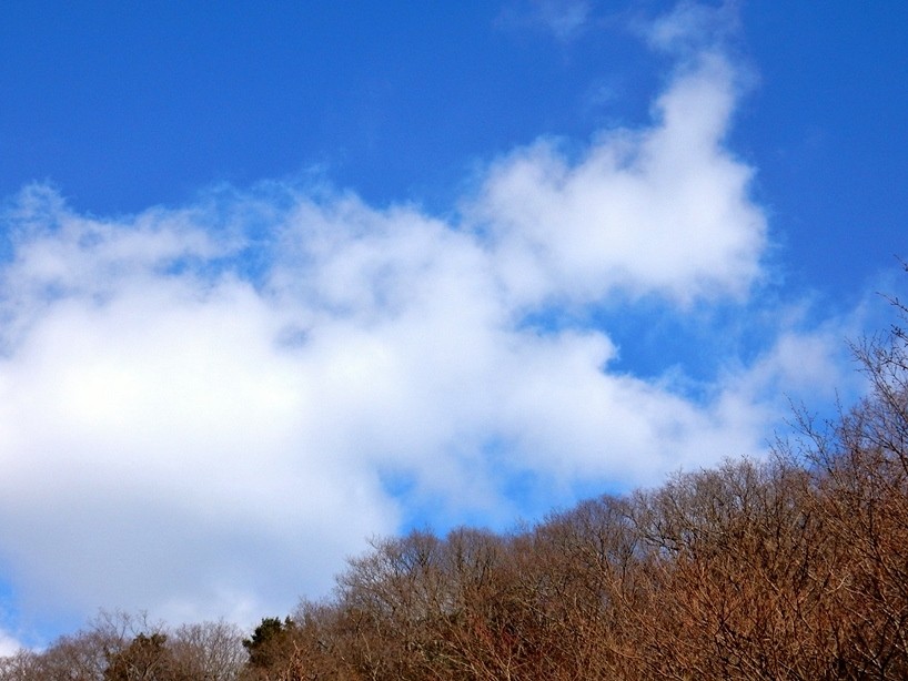 空7.JPG