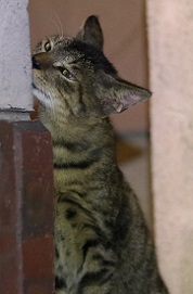 IMG_4119-11.jpg