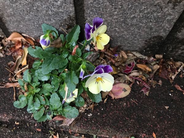 rblog-20190423182704-09.jpg