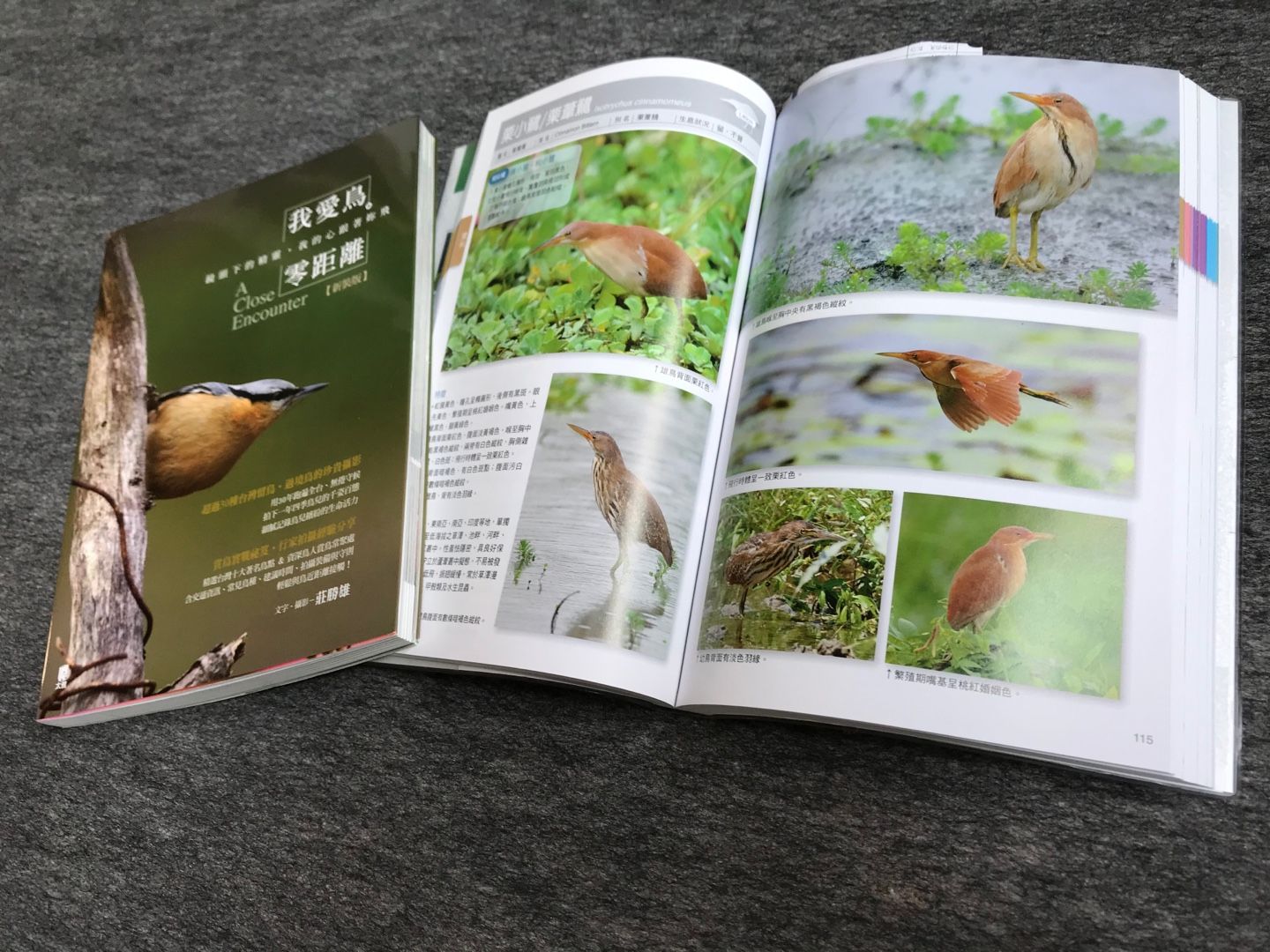 台湾野鳥図鑑 | のん木ぶろぐ - 楽天ブログ