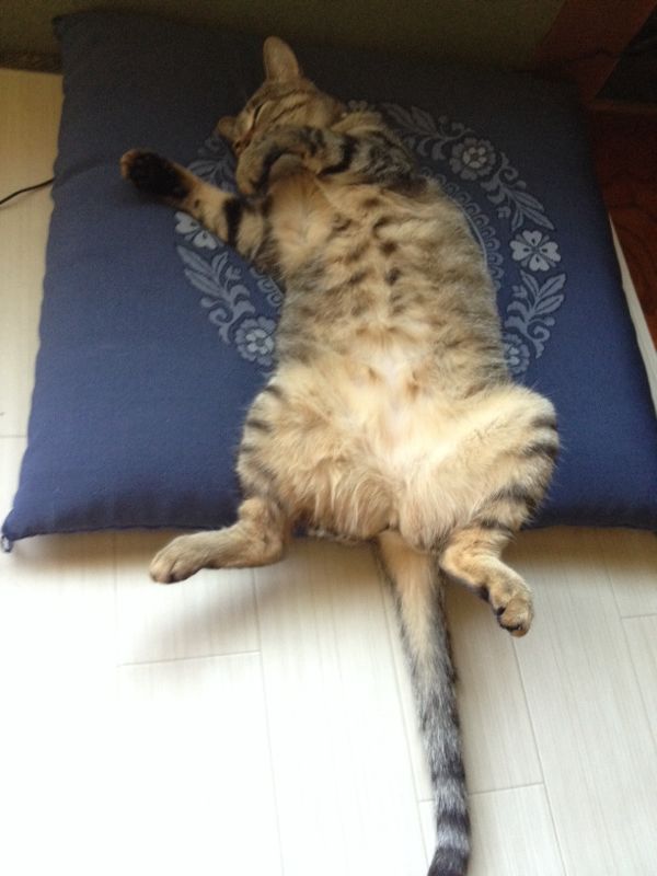 rblog-20140626231850-01.jpg