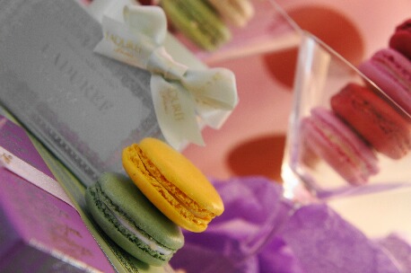 ちっぴーH22.3.29 014.jpg