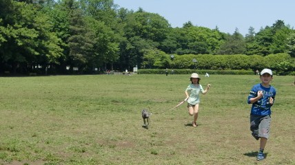 119 - コピー.JPG