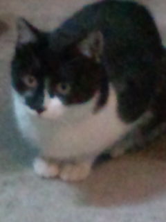 20120324223515l.jpg