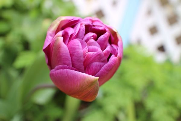 rblog-20160304222026-04.jpg
