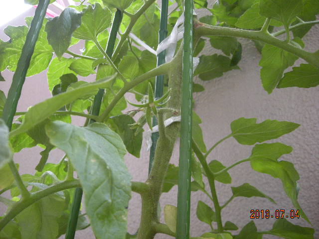 DSCN9328.JPG