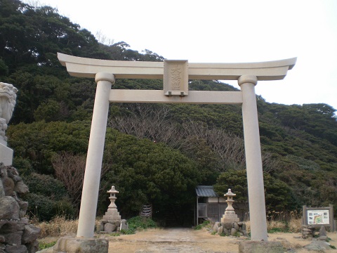 jinnjya