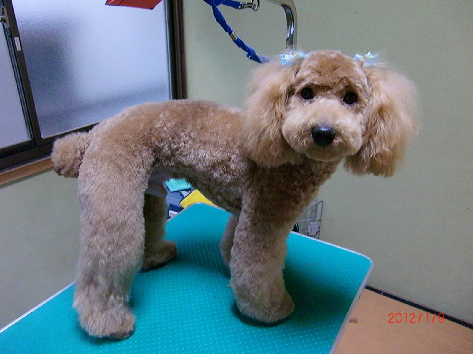 20120・1・9.jpg