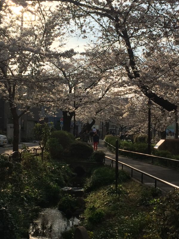 rblog-20140330181054-00.jpg