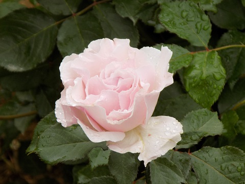 DSCN3147.JPG