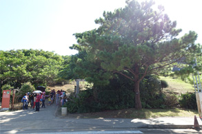 沖縄165.jpg