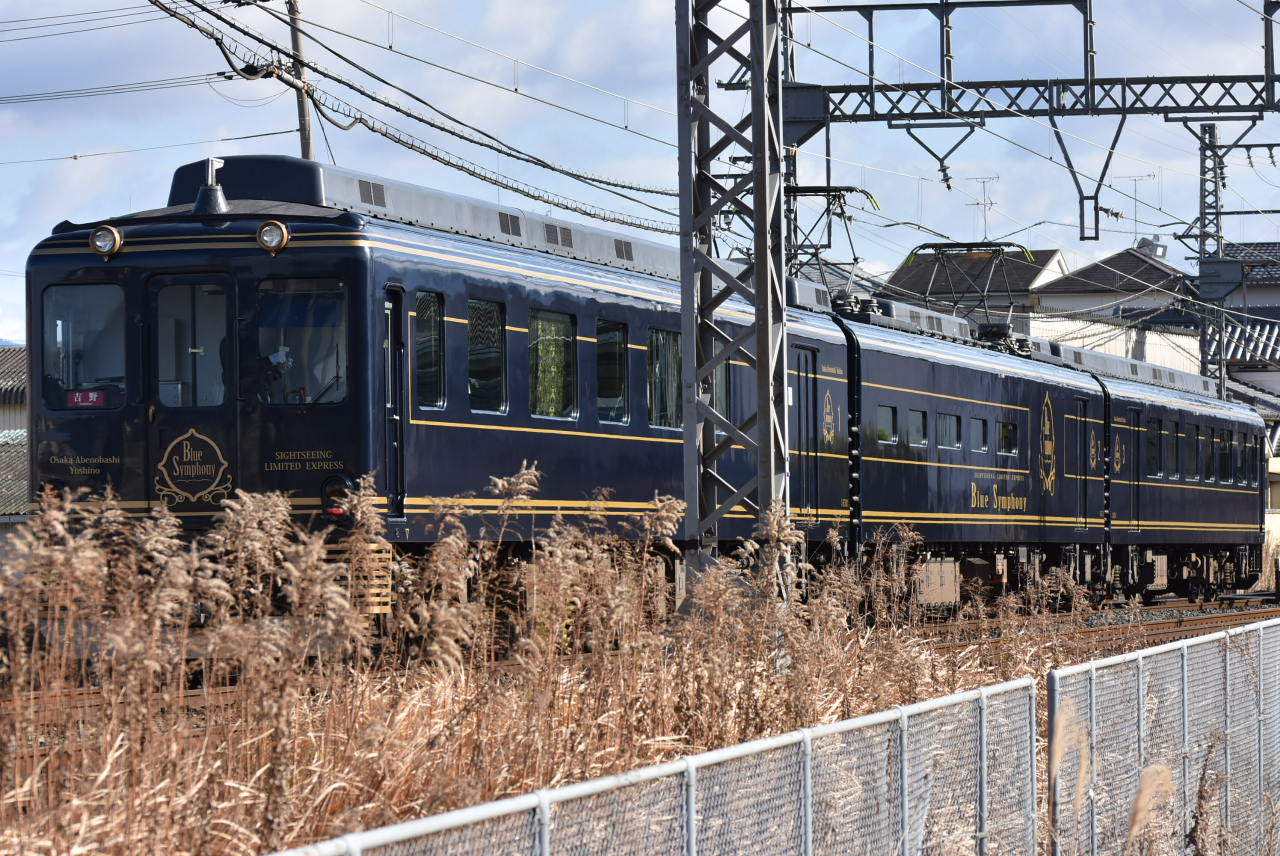 DSC_6395.JPG