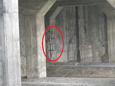 IMG_9903 縮小 - コピー.jpg