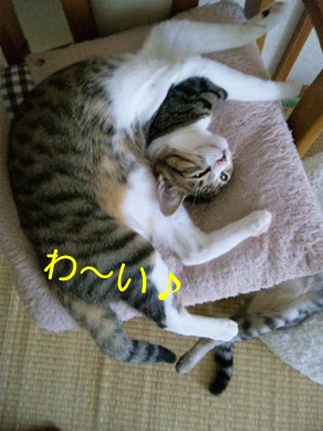 20120913_3.jpg