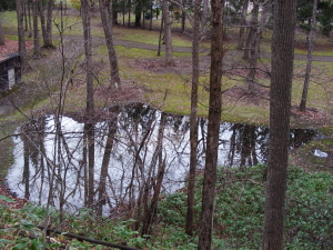 2017-11-13-4 (1).JPG