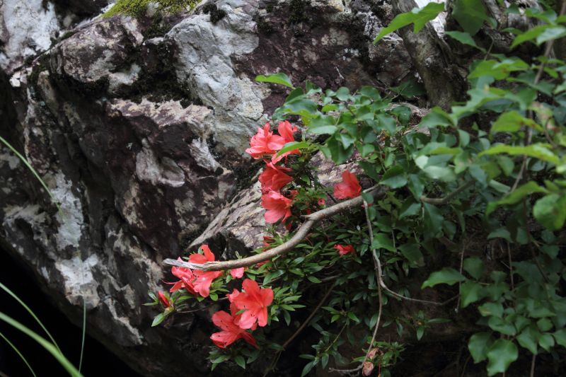 川迫川_006.jpg