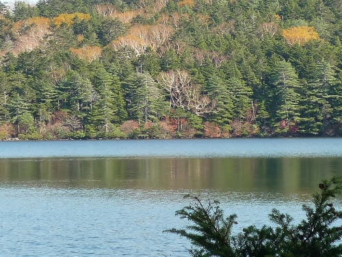 P1140412 (500x375).jpg