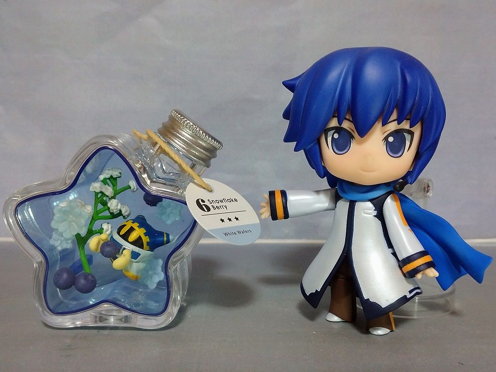 星のカービィ PUPUPU HERBARIUM 買ってみた | 第3ブログ