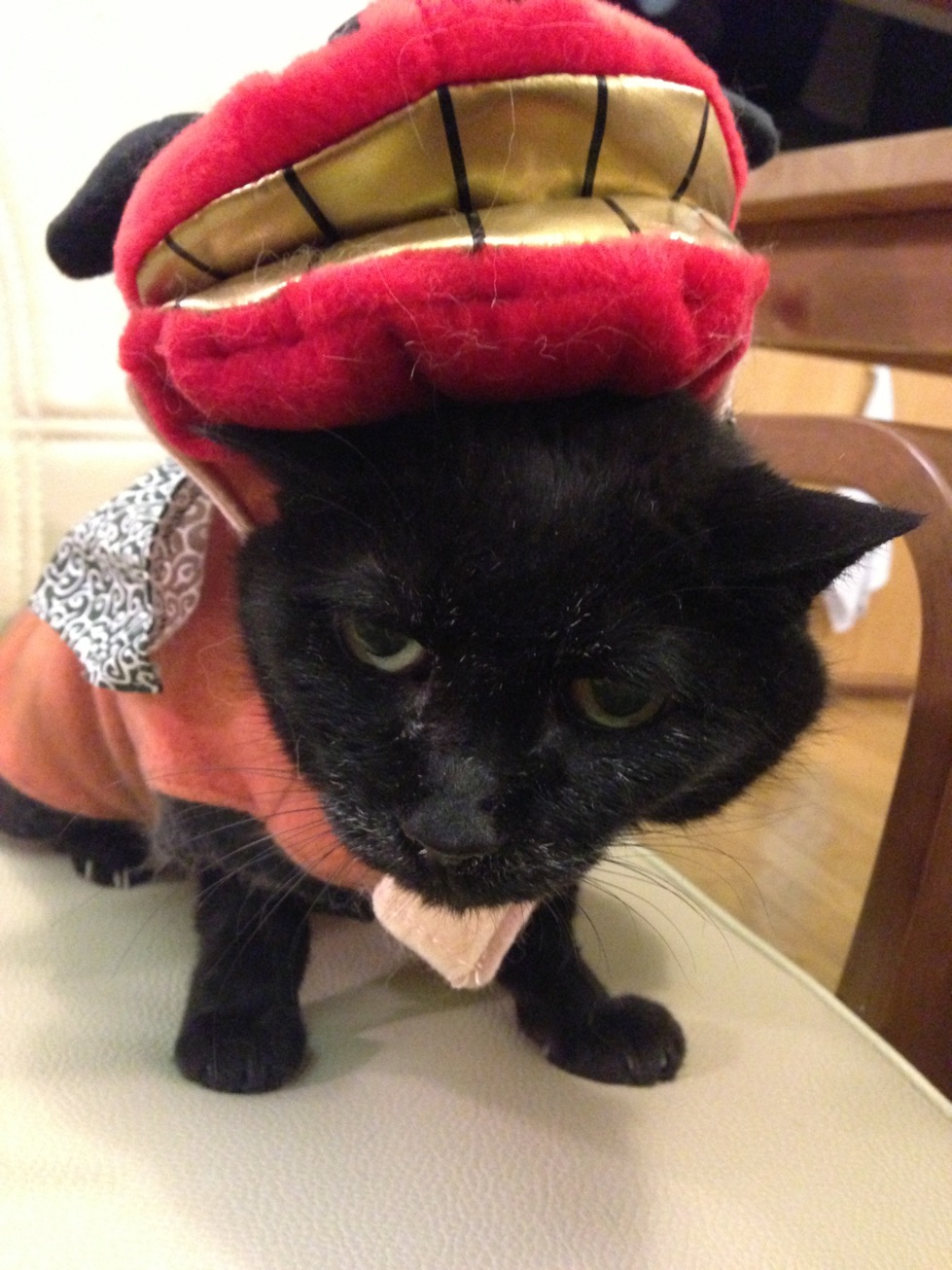 新年クロ写真-9.jpg