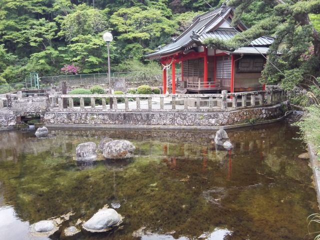 清左衛門地獄池 伝承の旅人コース 2 異空間にトリップしました 足柄山徘徊 楽天ブログ